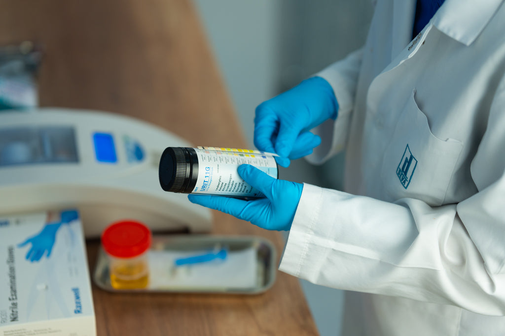 Lab technician in blue Raxwell gloves reviews a reagent bottle beside analytical equipment. Scene promotes chemical-resistant protection.